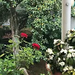 Casa Di Nonna Vercelli