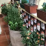 Bed & Breakfast Casa Di Nonna 3*