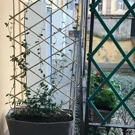 Casa Di Nonna Vercelli