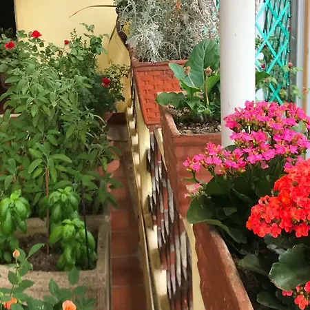 Casa Di Nonna * Vercelli
