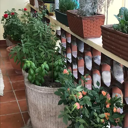 Bed & Breakfast Casa Di Nonna 3*